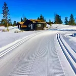 New Large In Out & Sauna بيت للعطل Sjusjøen
