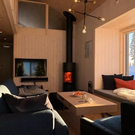 Semesterbostad Modern New Large In Out