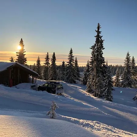 Vakantiehuis New Large In Out & Sauna
