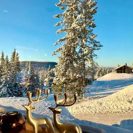 New Large In Out & Sauna