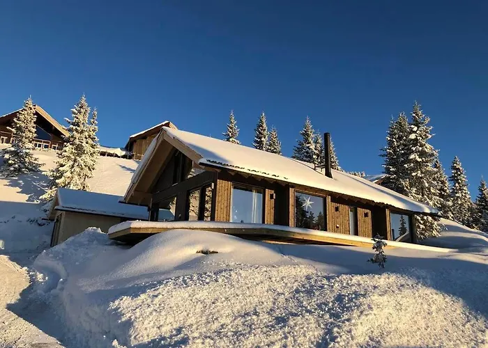 Ferienhaus New Large In Out & Sauna *